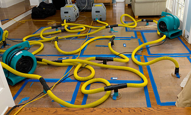 Professional Crawl Space Water Removal technician working in Morrisonville, WI